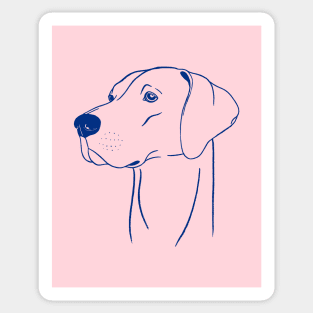 Weimaraner (Pink and Blue) Sticker